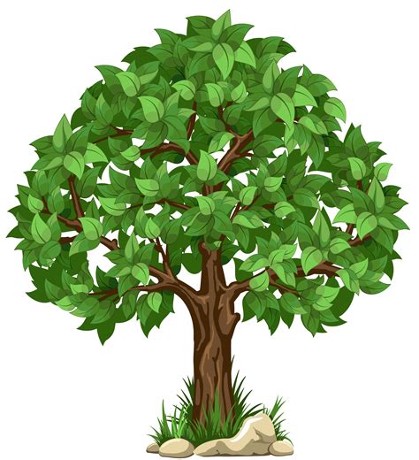 tree clip art|tree clip art transparent background.